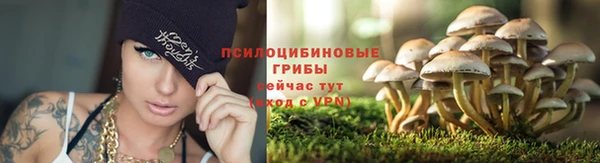 винт Алзамай