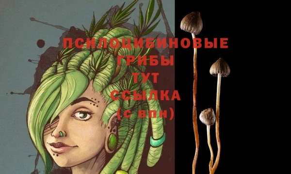 ГАЛЛЮЦИНОГЕННЫЕ ГРИБЫ Алексеевка