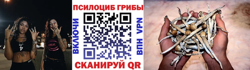 Галлюциногенные грибы мицелий MEGA вход Карачев