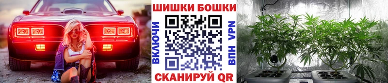 Шишки марихуана VHQ  где найти   kraken tor  Карачев 